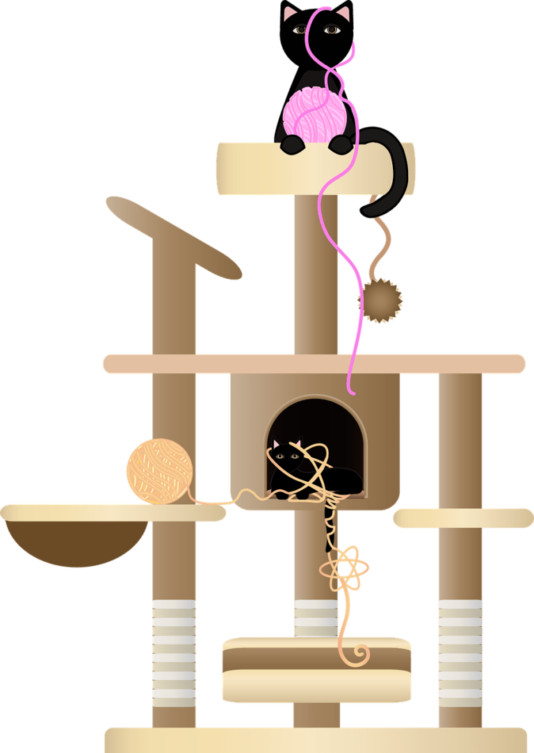 Cat Furniture Sets: Are They Worth The Investment?