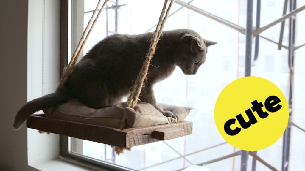 How To Make Your Own Window Hammock For Your Cat