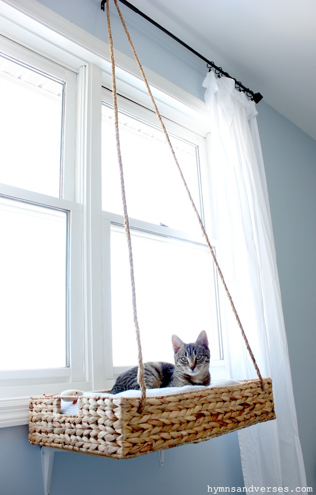 How To Make Your Own Window Hammock For Your Cat