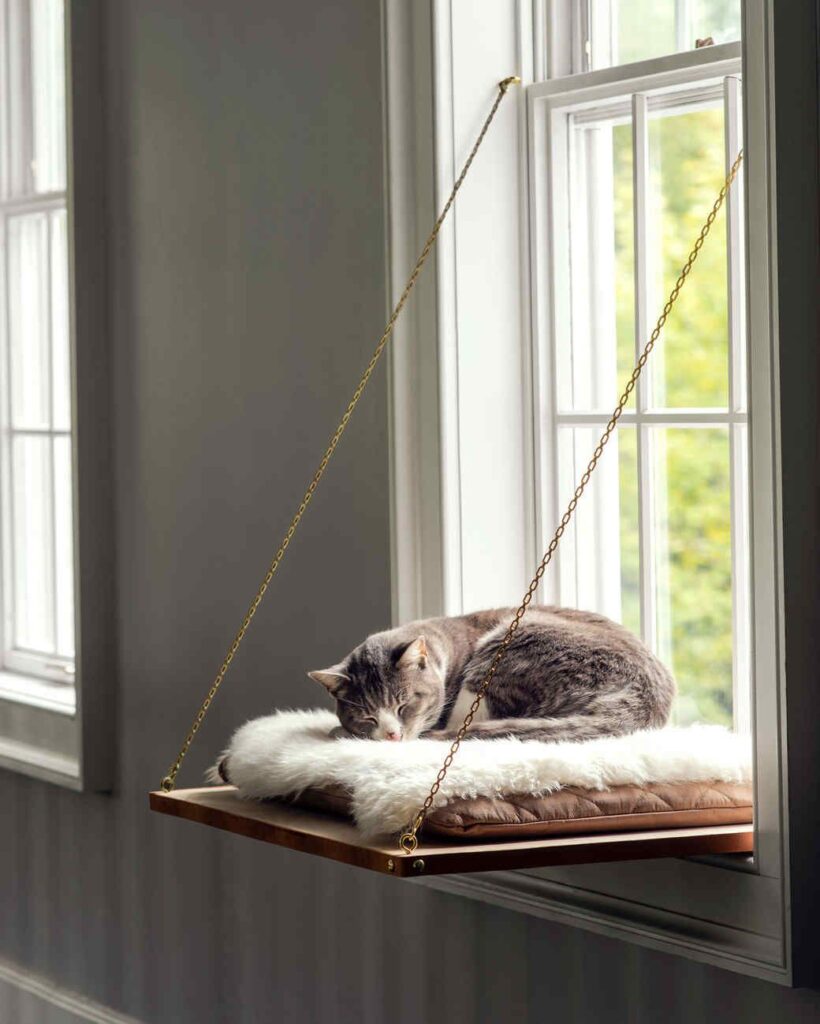 How To Make Your Own Window Hammock For Your Cat