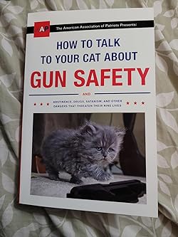 How To Talk To Your Cat About Gun Safety