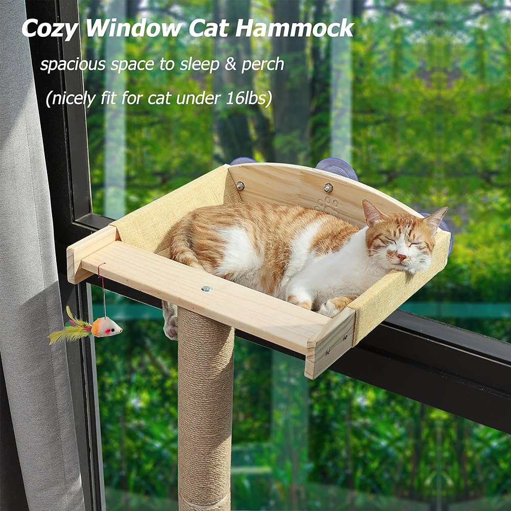 Window Hammocks With Scratching Posts: A Complete Guide