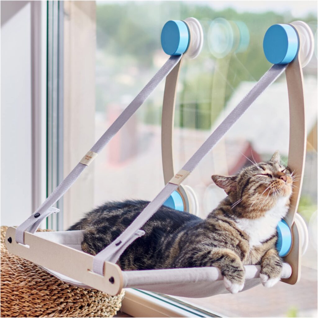 Enhancing Your Cats Window Hammock With Toys And Treats