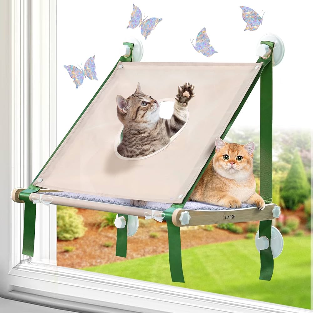 Enhancing Your Cats Window Hammock With Toys And Treats