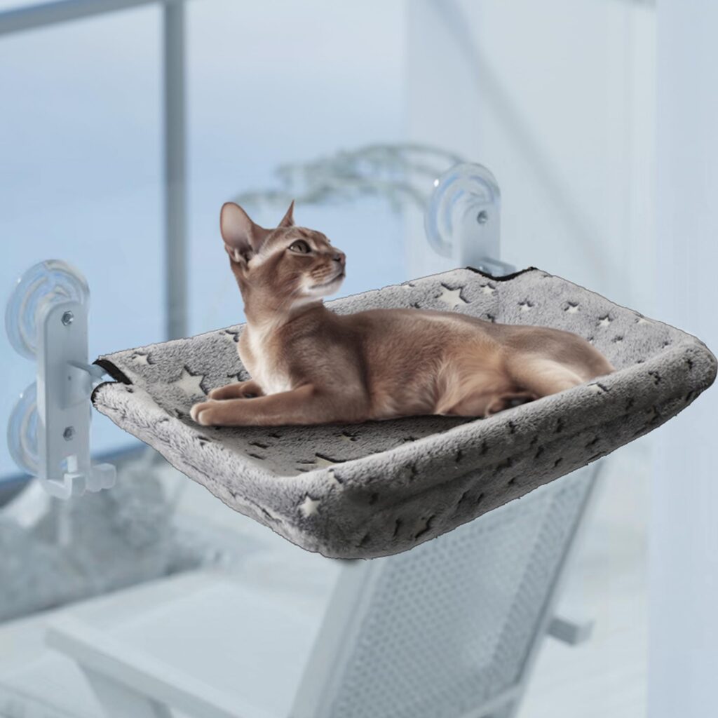 Enhancing Your Cats Window Hammock With Toys And Treats