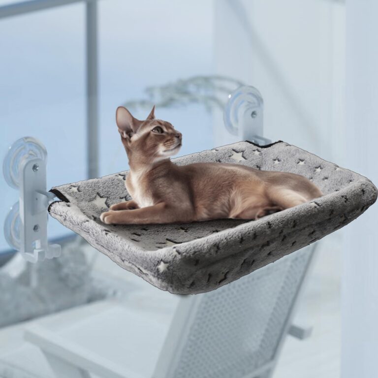 Enhancing Your Cat’s Window Hammock With Toys And Treats