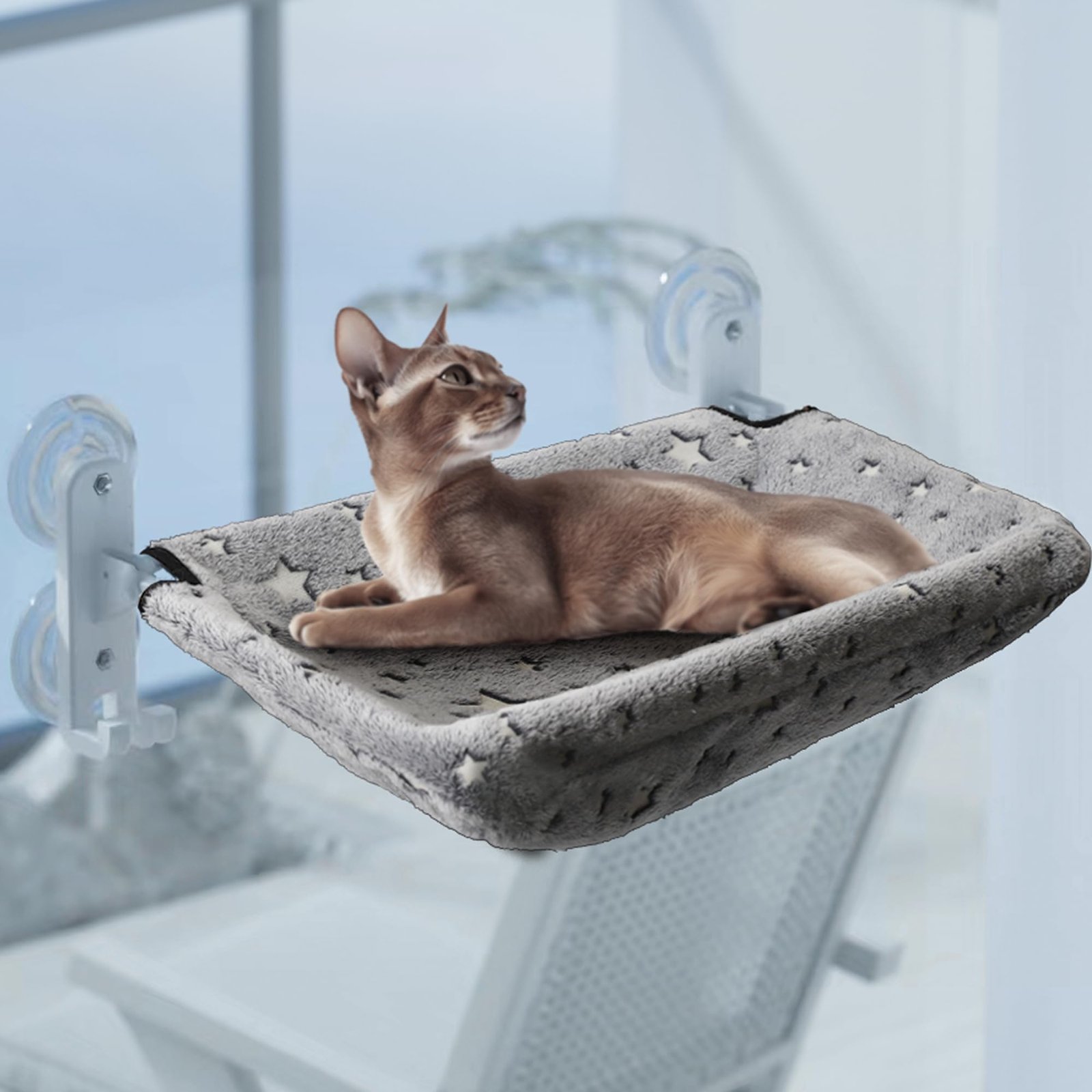 Enhancing Your Cat’s Window Hammock With Toys And Treats