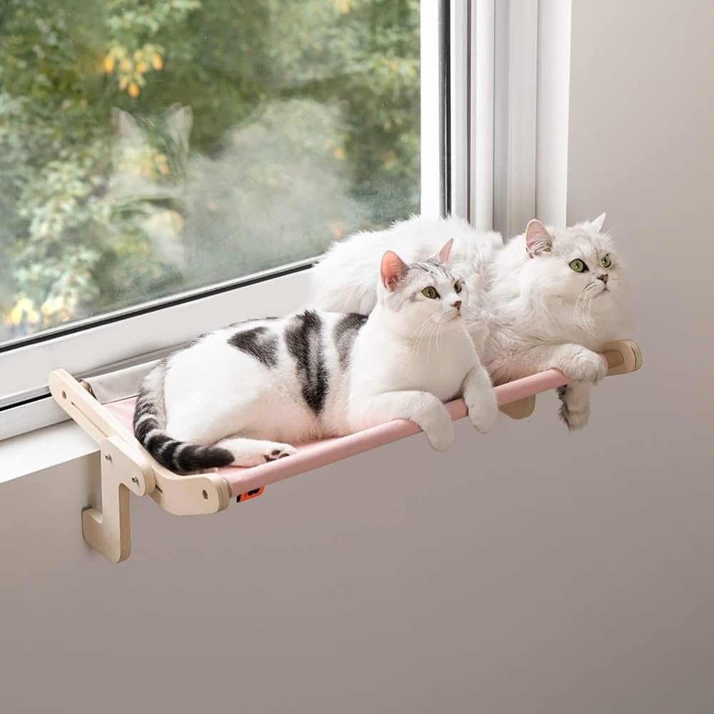 Enhancing Your Cats Window Hammock With Toys And Treats