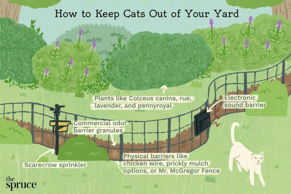 How To Keep Cats Out Of Your Yard