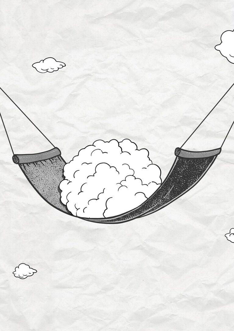 How To Make Your Cat’s Window Hammock A Safe And Secure Space