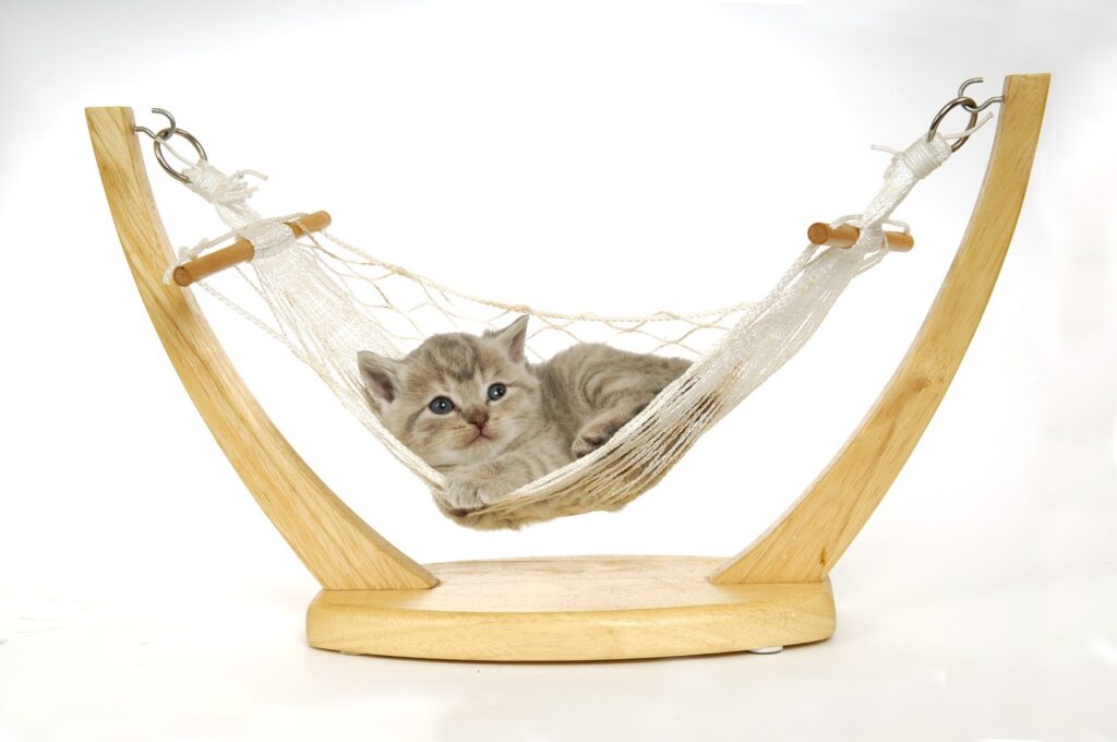 How To Make Your Cats Window Hammock More Comfortable