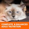 Effective Hairball & Weight Control: IAMS Indoor Cat Food - Image 10