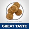 Ultimate Guide: Hill's Science Diet Perfect Weight for Cats - Image 6