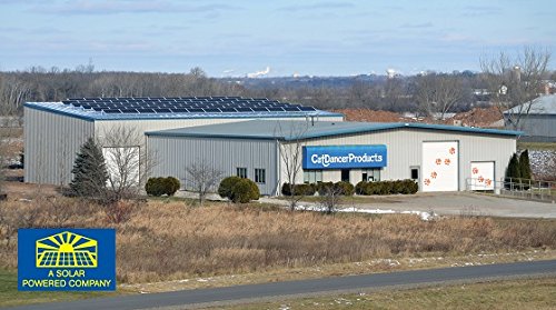 Unleash Joy: Cat Dancer 101 Interactive Toy Review - Image 8