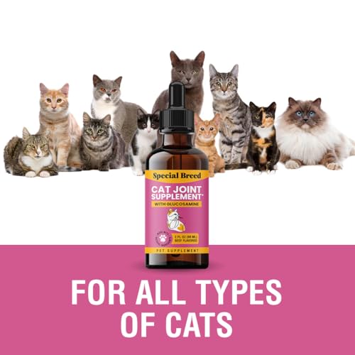 Effective Liquid Glucosamine & Chondroitin for Cat Joint Relief - Image 4