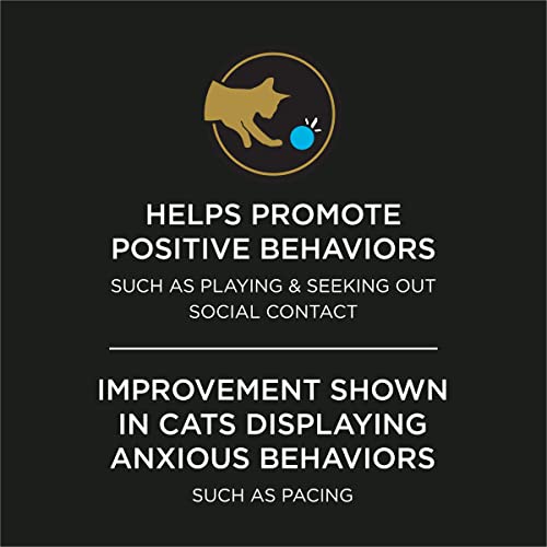 Purina Pro Plan Calming Care: A Complete Review for Cats - Image 4