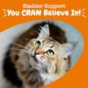 Zesty Paws Cranberry Bladder Bites for Cats: Full Review - Image 7