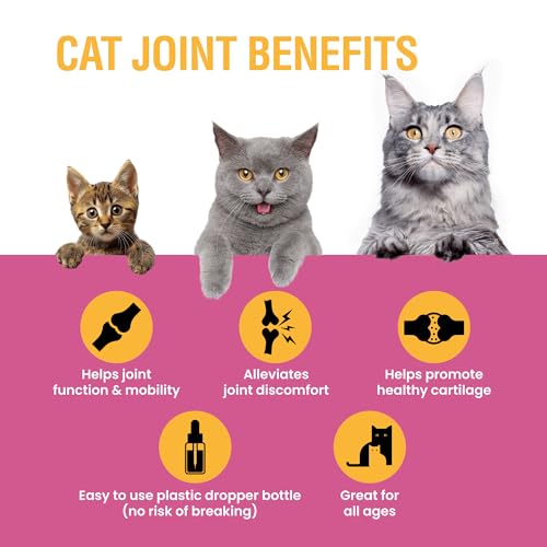 Effective Liquid Glucosamine & Chondroitin for Cat Joint Relief - Image 2