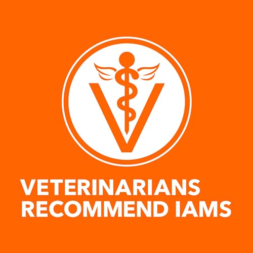 IAMS PROACTIVE HEALTH Chicken Cat Kibble: A 3.5 lb. Review - Image 12