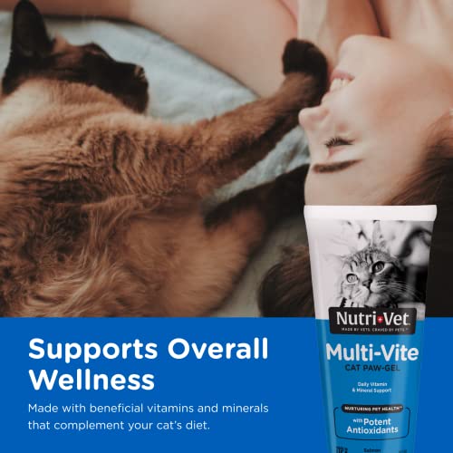 Complete Review: Nutri-Vet Multi-Vite Paw Gel for Cats - Image 3