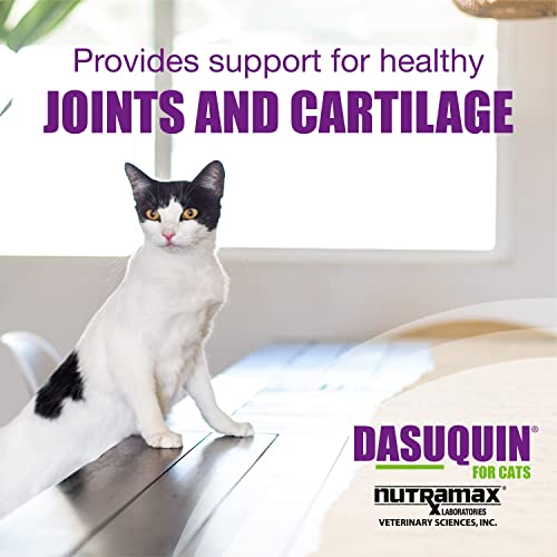 Ultimate Joint Health for Cats: Nutramax Dasuquin Review - Image 3