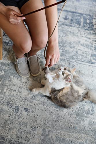 Ultimate Fun: OurPets Play-N-Squeak Wand Cat Toy Review - Image 3