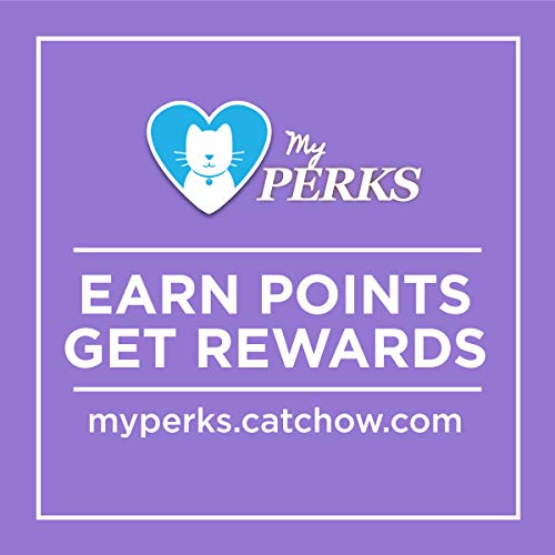 Purina Cat Chow Gentle: A Lifesaver for Sensitive Cats - Image 9