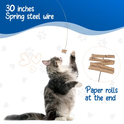 Unleash Joy: Cat Dancer 101 Interactive Toy Review - Image 4