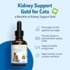 Comprehensive Review: Kidney Support Gold for Cats Supplement - Image 3
