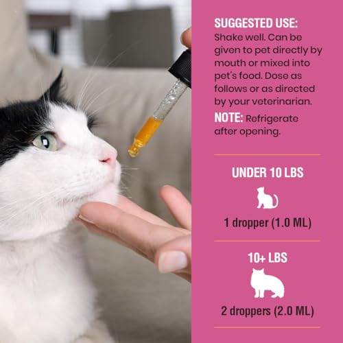 Effective Liquid Glucosamine & Chondroitin for Cat Joint Relief - Image 5