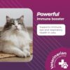 VetriScience Vetri Lysine Plus: Essential Immune Boost for Cats - Image 2