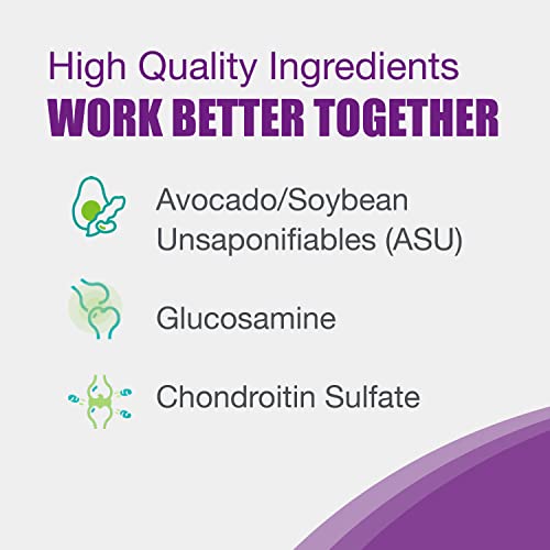 Ultimate Joint Health for Cats: Nutramax Dasuquin Review - Image 6