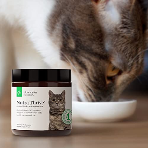 Is Nutra Thrive the Ultimate Cat Supplement? A Full Review - Image 5