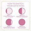 Purina Fancy Feast Filet Mignon Cat Food: Gourmet Delights! - Image 9
