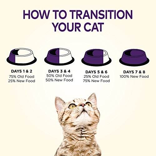 Premium Nutrition: Wellness Natural Grain-Free Chicken Cat Food - Image 9