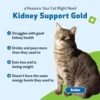 Comprehensive Review: Kidney Support Gold for Cats Supplement - Image 2