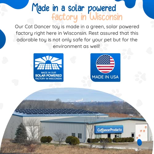 Unleash Joy: Cat Dancer 101 Interactive Toy Review - Image 6