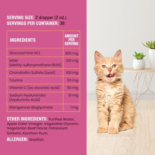 Effective Liquid Glucosamine & Chondroitin for Cat Joint Relief - Image 6