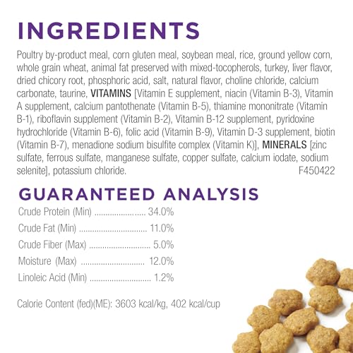 Purina Cat Chow Gentle: A Lifesaver for Sensitive Cats - Image 4