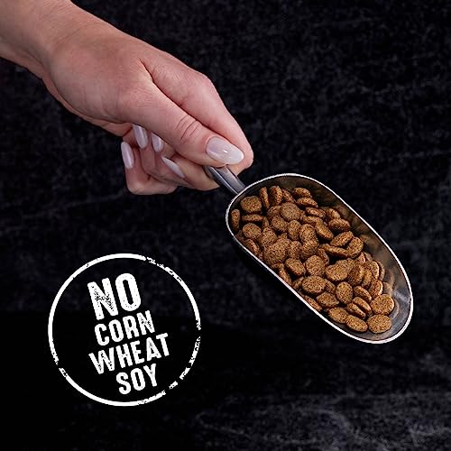 High Protein CRAVE Grain-Free Cat Food: A Healthy Choice? - Image 8