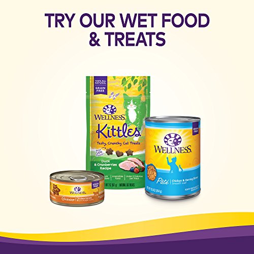 Premium Nutrition: Wellness Natural Grain-Free Chicken Cat Food - Image 8