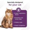 VetriScience Vetri Lysine Plus: Essential Immune Boost for Cats - Image 4