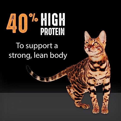 High Protein CRAVE Grain-Free Cat Food: A Healthy Choice? - Image 5
