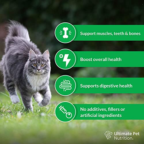 Is Nutra Thrive the Ultimate Cat Supplement? A Full Review - Image 2