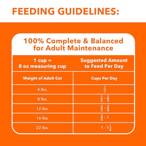 IAMS PROACTIVE HEALTH Chicken Cat Kibble: A 3.5 lb. Review - Image 6