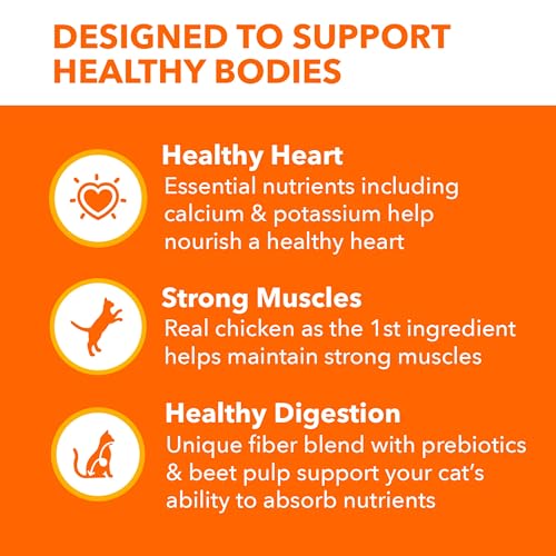 IAMS PROACTIVE HEALTH Chicken Cat Kibble: A 3.5 lb. Review - Image 4