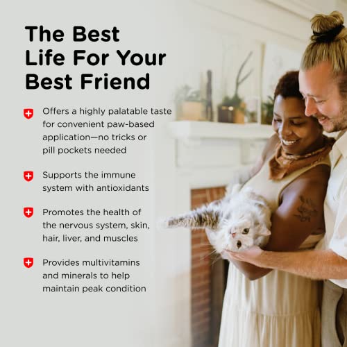 Complete Review: Nutri-Vet Multi-Vite Paw Gel for Cats - Image 5