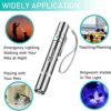 Unleash Fun: Cowjag Adjustable Laser Pointer for Cats & Dogs - Image 6