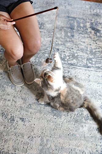 Ultimate Fun: OurPets Play-N-Squeak Wand Cat Toy Review - Image 4