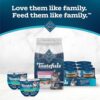 Blue Buffalo Tastefuls: Sensitive Stomach Cat Food Review - Image 9